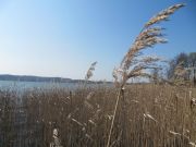 ostseeurlaub022